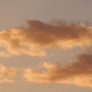 Meet your Posher, Nat